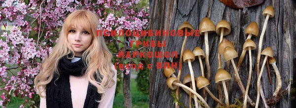 соль курить ск Киреевск