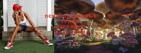 прущий лед Киренск