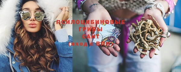 прущий лед Киренск