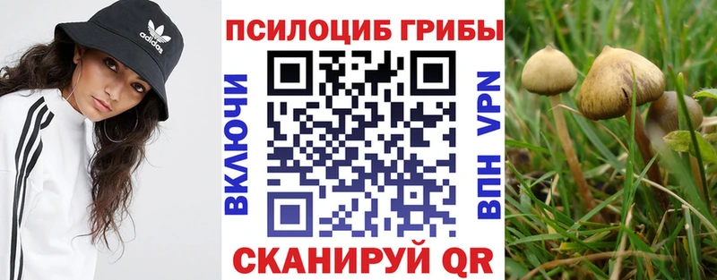Галлюциногенные грибы Psilocybine cubensis  Купить где  Макушино 